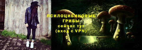 соль ск Алексеевка