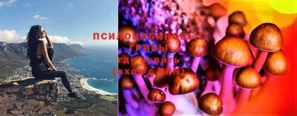 соль ск Алексеевка