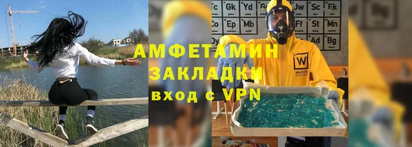 шишки Инсар