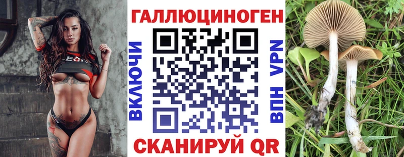 купить   Лахденпохья  Галлюциногенные грибы Psilocybine cubensis 